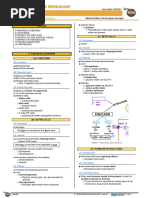 Pancreas Insulin Function Atf