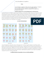 2nde SVT de La Fecondation A La Puberte