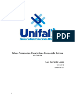 Células Procariontes, Eucariontes e Composição Química Da Célula