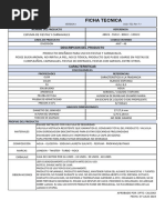 Ficha Tecnica de Espuma de Fiestas y Carnavales