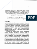 Etude Des Populations de L'olivier de Laperrine (Olea Europaea Subsp. Laperrinei Batt. &trab.) Du Sahara Central Algerien (Hoggar Et Tassili) Aspects Biologiques Et Caracterisation Moleculaire