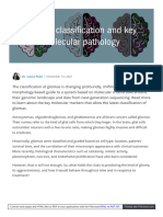 Glioma Classification