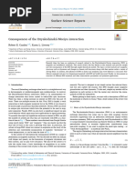 Consequences of The Dzyaloshinskii-Moriya Interaction