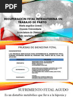 Recuperación Fetal Intrauterina en Trabajo de Parto Simulacion