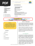 Hoja de Informacion 21 12-04-2024 Organizando La Impresión de Documentos