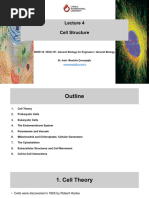 Lecture 4 - Cell Structure