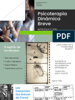 Introducción A La Psicoterapia Dinámica Breve