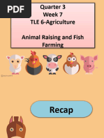 TLE 6 Week 7 Day 2 Animal Raising and Fish Farming