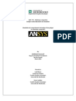 Rapport Simulation Ansys