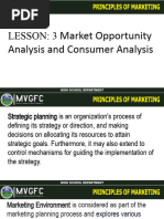 LESSON 3 Market Opportunity Analysis