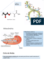 Ciclo de Krebs Fosforilacao Resumida