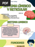 Sistema Limbico y Reticular