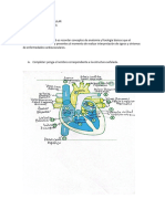 TALLER SEMIOLOGIA Y FISIOLOGIA CARDIACA Jeniffer Piedrahita Corrales