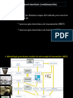 Clase 9 Procesamiento de Muestras para MET y MEB 06-03-23