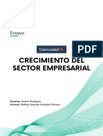 Crecimiento Del Sector Empresarial