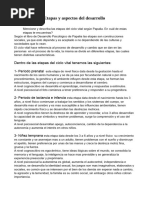 Tarea1 Desarrollo