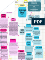 Act. 4.1 Mapa Conceptual "Organizaciones Limítrofes"