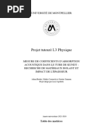 Rapport Projet Tuteuré