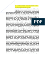 RESUMEN - El Crecimiento de Las Plantas Jóvenes Un Complejo Modelo de Desarrollo Tallos y Raíces