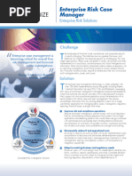 Enterprise Risk Case Manager 2pg