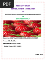 Srawberry Fruit Processing Industry-2015