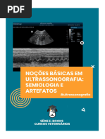 Nociones Basicas de Ultrasonografia. Semiologia y Artefactos