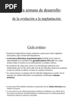 1 ERA-primera Semana de Desarrollo