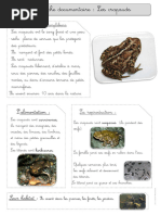 Texte Documentaire Crapaud