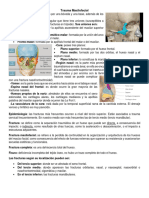 Trauma Maxilofacial Clase