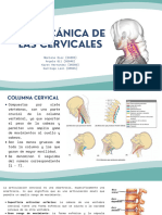 Biomecánica de Las Cervicales