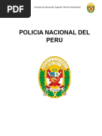 Policia Femenina Monografia