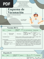 Esquema de Vacunación