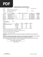 Consolidado de Matrícula: Karina Milagros Salazar Villanueva