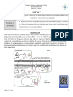 Guía TAP 7