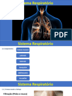 Sistema Respiratorio