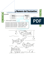 Ficha Genero Del Sustantivo para Tercero de Primaria