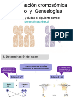 Clase Herencia Ligada Al Sexo y Genealogias NM4 Biología