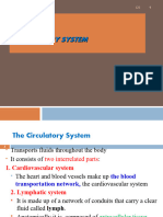 Anatomy Circulatory System