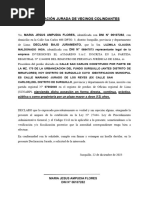 Declaración Jurada de Inversiones El Aymarino Sac