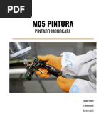 Pintado Monocapa