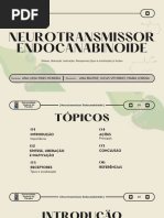 Slide Neurotransmissores Atualizado