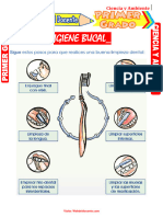 Higiene Bucal para Primer Grado de Primaria