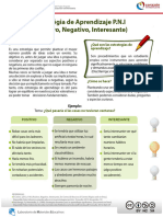 Estrategia Pni