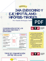 El Sistema Endocrino y Eje Hipotálamo-Hipófisis-Tiroides