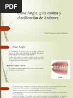 Clase Angle