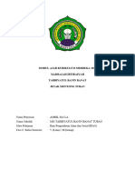 Modul Kurmer 24 Ipas