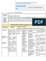 Esquema de Planificación Unidad de Aprendizaje Utilizando La Estrategia de Juego de Roles