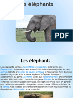 Les Éléphants