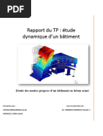 Rapport de Dynamique de Structure