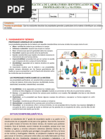 Pràctica-Propiedades de La Materia